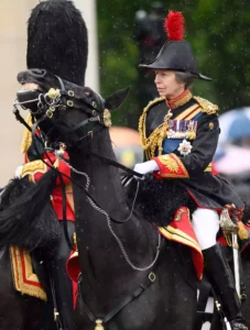 Royal Family Removes Princess Anne's Next Engagement Following Hospitalization for Horse 'Incident'