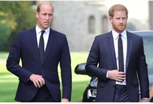 Prince Harry and Prince William Avoid Each Other at Uncle's Funeral in Surprise Joint Appearance: 