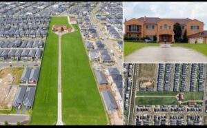 Meet the world's most STUBBORN family: How reclusive couple refuse to sell land to developers as newbuild homes sprout up around them...See More