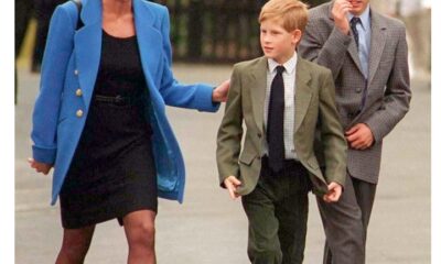 The Reason Princess Diana Believed Prince Harry Would Be a More Suitable King Than Prince William