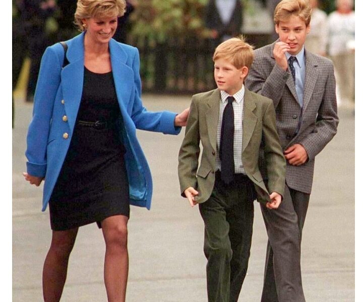 The Reason Princess Diana Believed Prince Harry Would Be a More Suitable King Than Prince William